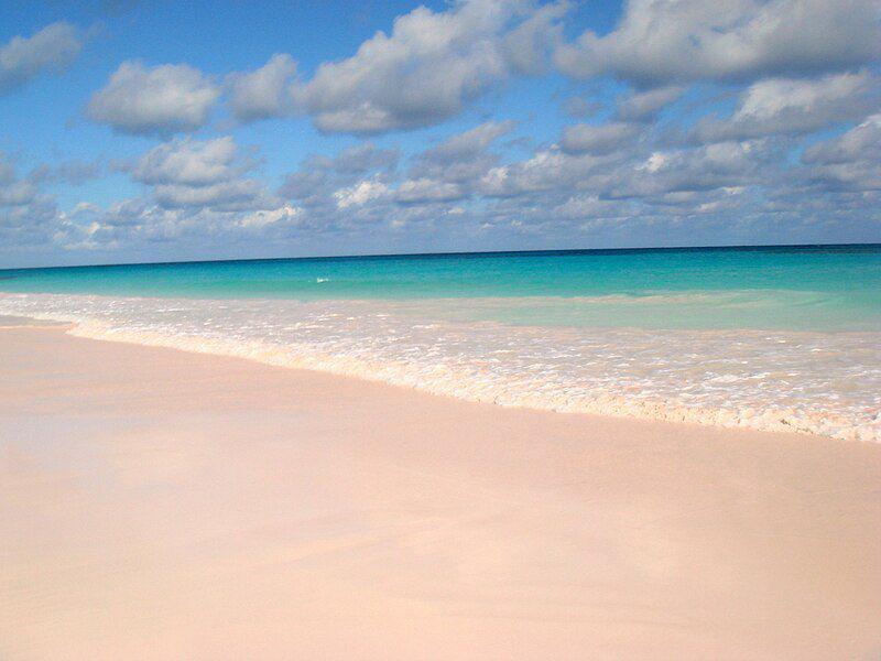 Pantai Pink Punya Pesona Luar Biasa, Simak! 3 Organisme Penyebabnya