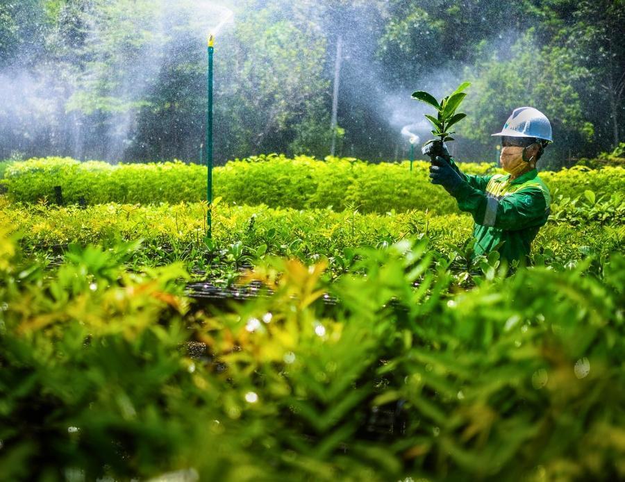 Dekarbonisasi Bukan Lagi Mimpi, Inilah Ragam Aksi Nyata Vale