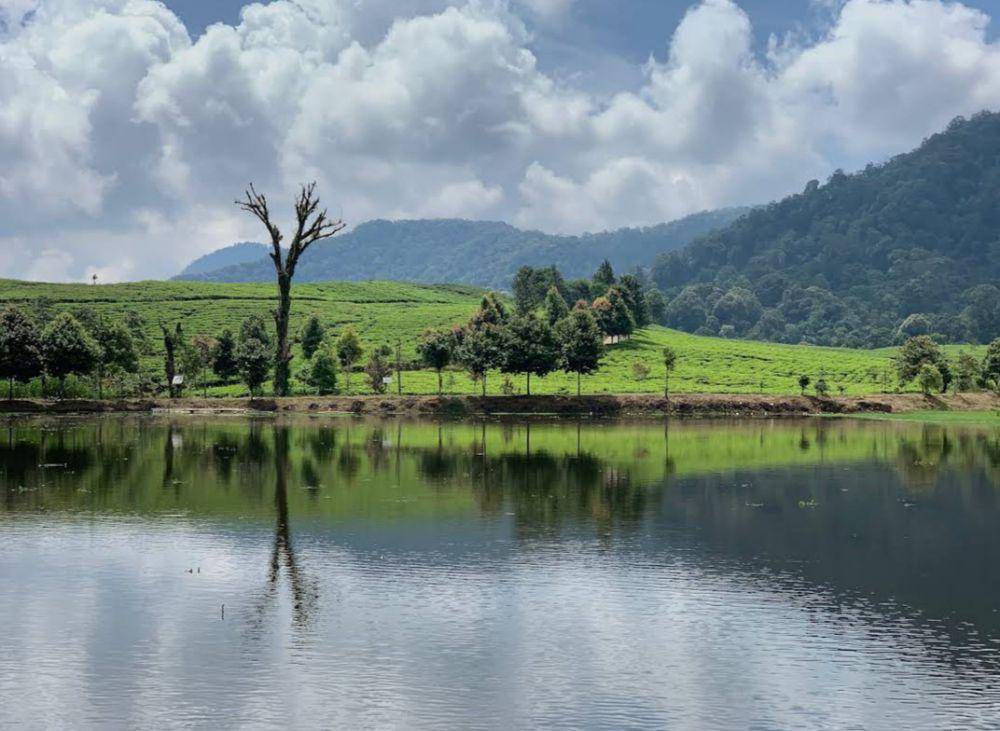 potret Kawasan Puncak Bogor (google.com/maps/Waleed Almashari)
