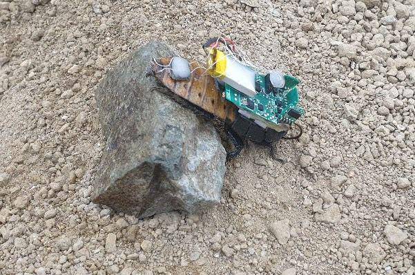 Dosen Undip Buat Robot Hybrid Serangga Penyelamatan Korban Bencana