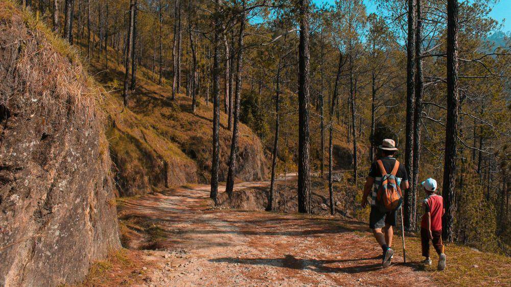 Ilustrasi ayah dan anak berjalan di downhill (pexels.com/Yogendra Singh)