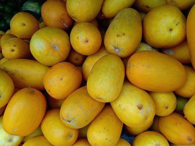 Ramadan, Petani Jiput Pandeglang Pasok 3 Ton Timun Suri ke Jakarta