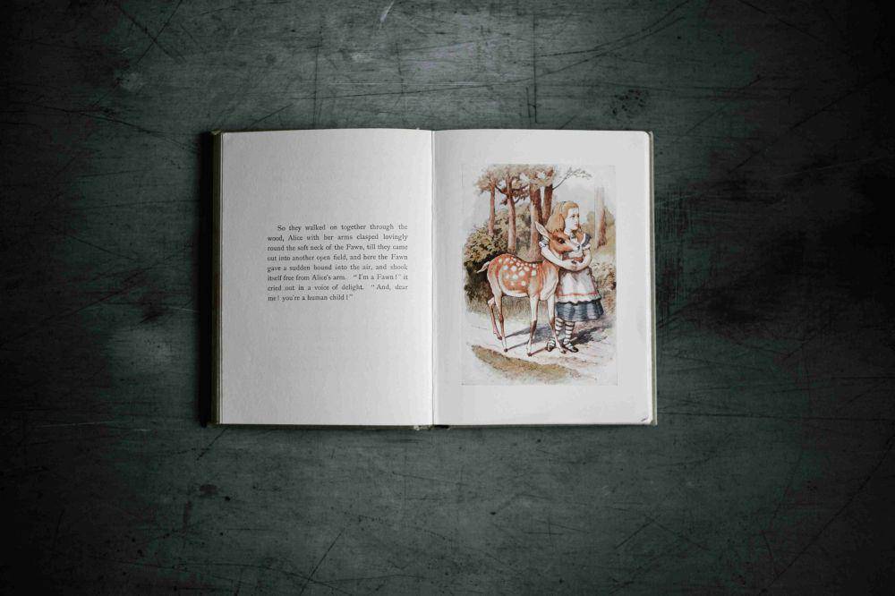 ilustrasi buku (unsplash.com/Annie Spratt)