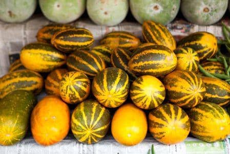 ilustrasi timun suri (pexels.com/pixabay)