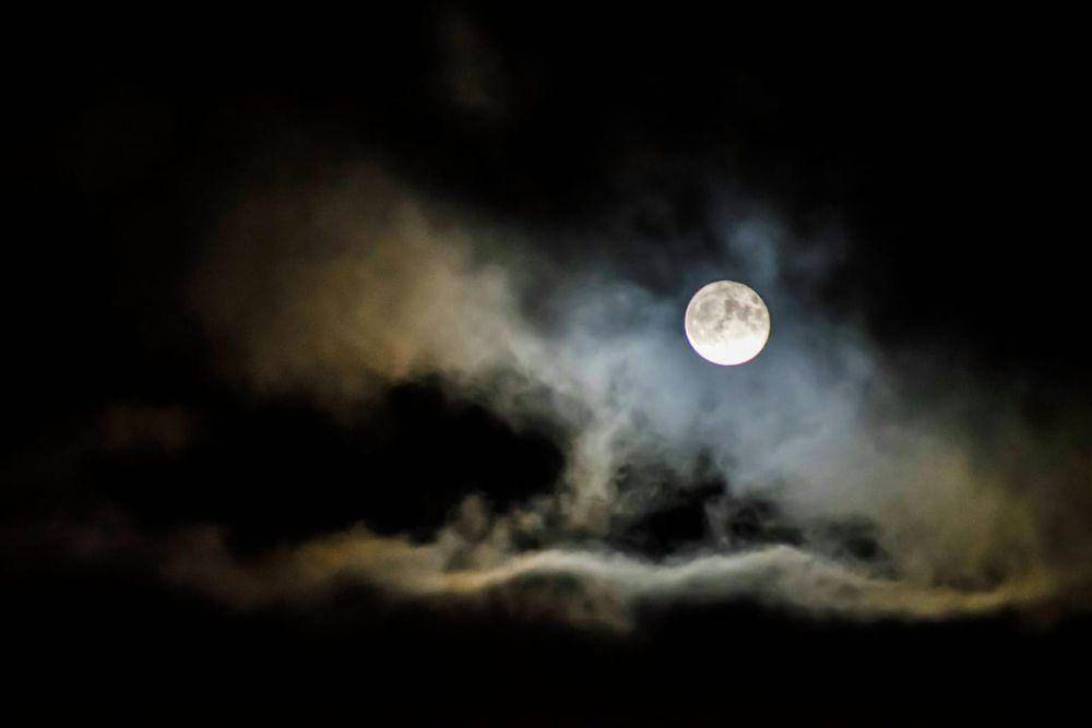 Ilustrasi bulan purnama (pexels.com/Joonas kääriäinen)