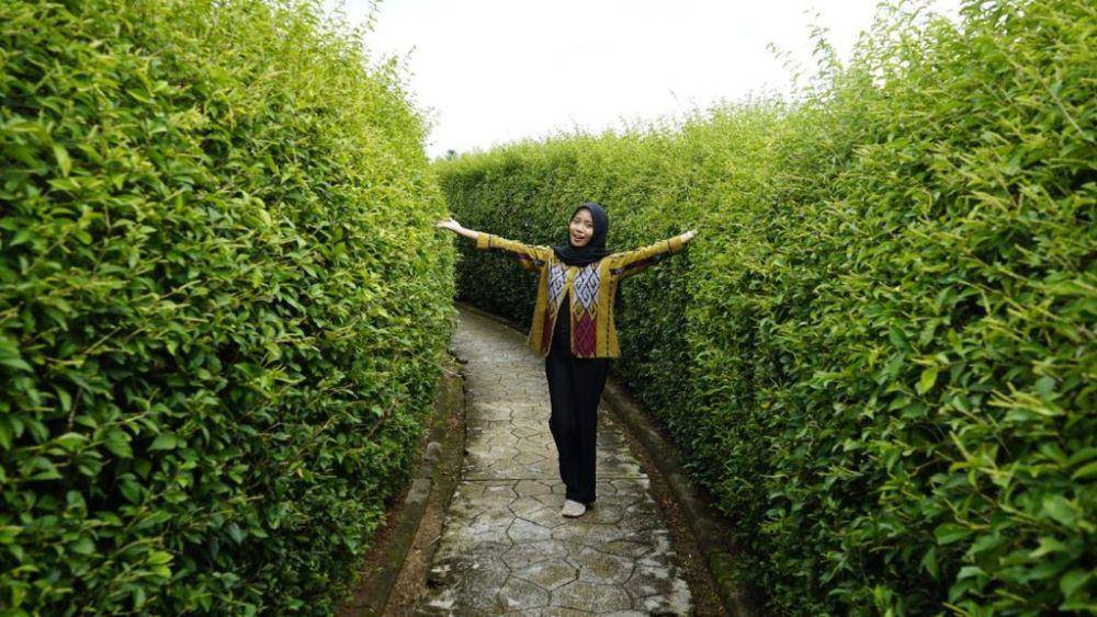 Kebun Raya Itera menambah dua labirin baru. Kini terdapat tiga labirin siap menjadi ikon baru kampus. (Dok. Itera).
