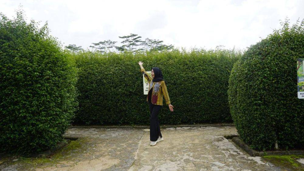 Kebun Raya Itera menambah dua labirin baru. Kini terdapat tiga labirin siap menjadi ikon baru kampus. (Dok. Itera).