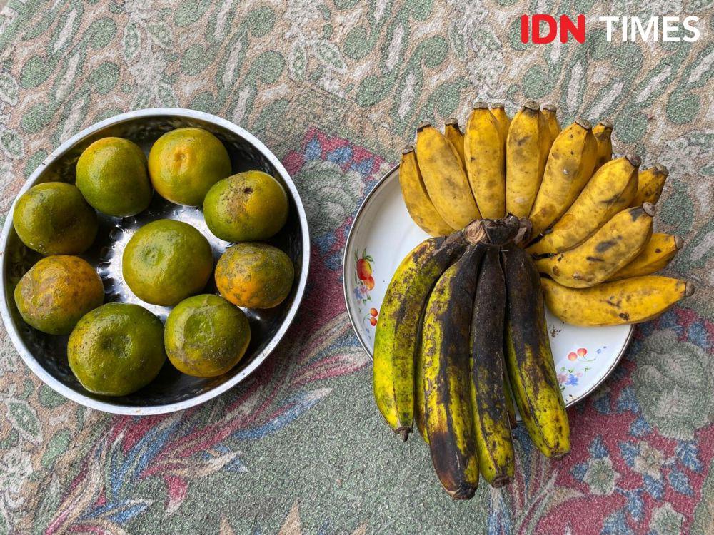 Makananmu Obatmu, Potret Visioner Leluhur Berdaulat Pangan