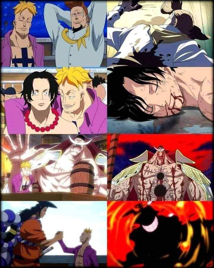 meme Marco One Piece (reddit.com/user/Boundman101)