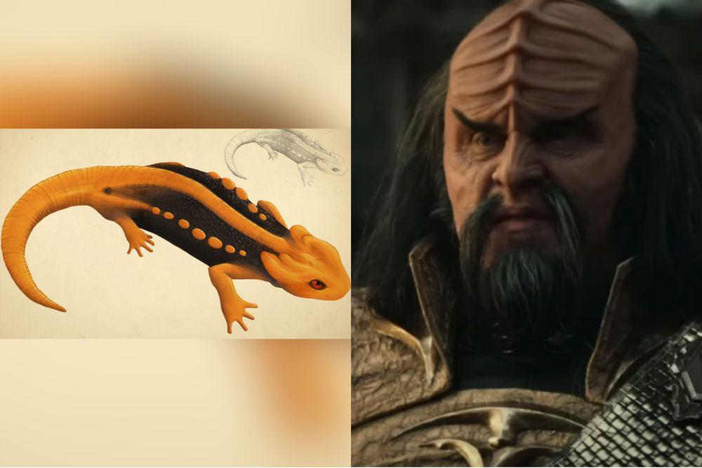 9 Spesies Hewan yang Dinamai Berdasarkan Karakter Star Trek, Unik!