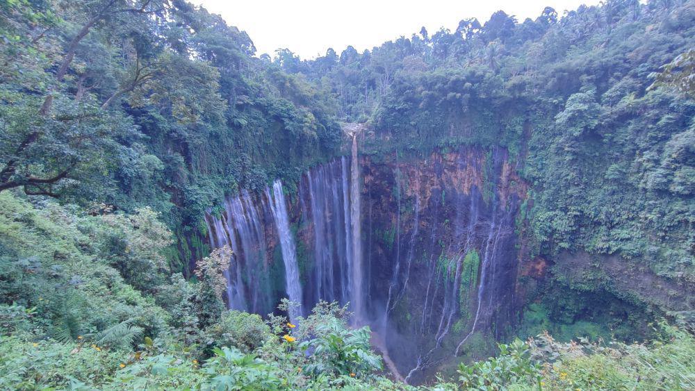 Akhir Sengketa Coban dan Tumpak Sewu, Pembelian Tiket Full Online