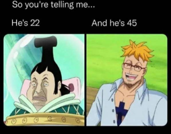 meme Marco One Piece (reddit.com/user/Gullible-Ad-9999)