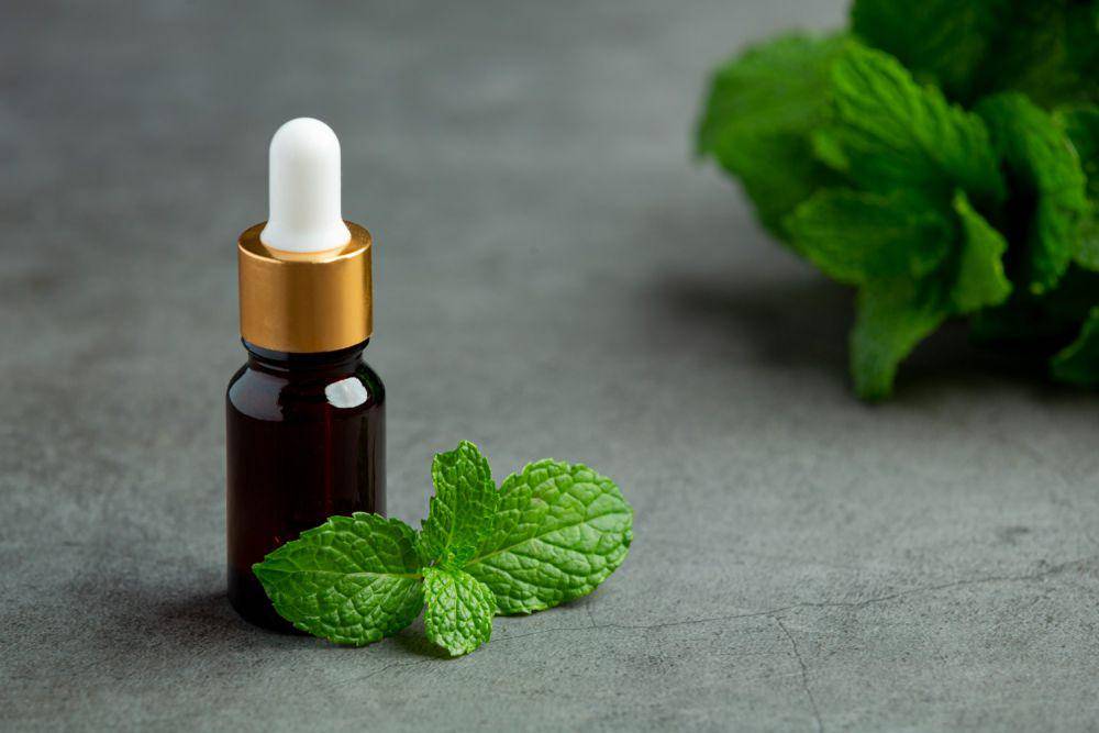 Ilustrasi minyak aroma peppermint (freepik.com/jcomp)