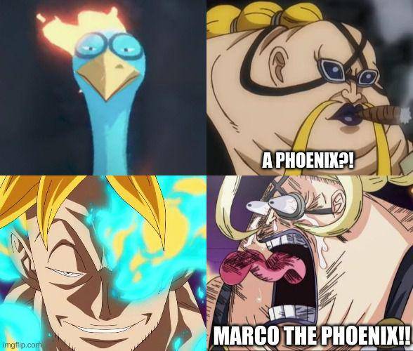 meme Marco One Piece (reddit.com/user/ComprehensiveDate591)