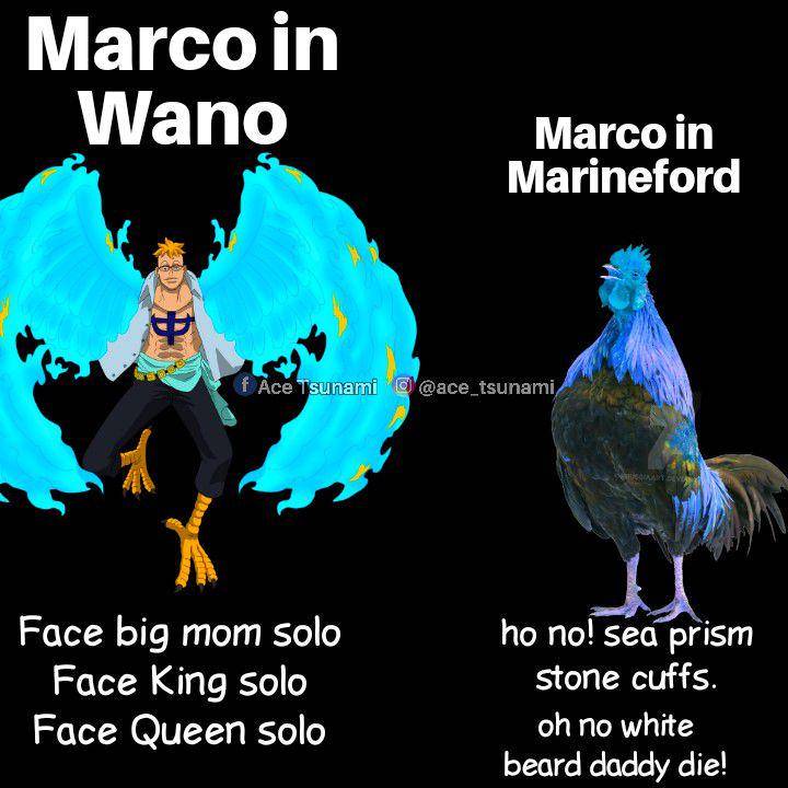 meme Marco One Piece (reddit.com/user/ace_tsunami)