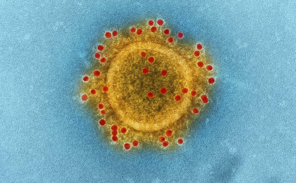 Coronavirus Baru Ditemukan di China, Perlukah Khawatir?