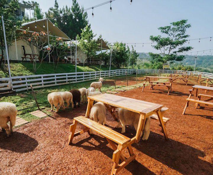 5 Tempat Makan di Sekitar Jakarta yang Memiliki Mini Zoo, Seru!