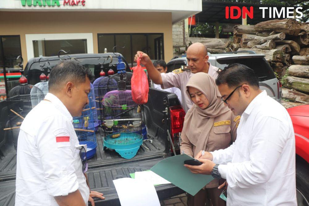 Petugas Pergoki 14 Cucak Ijo dan Kacer Dimasukan Kotak Kayu, 4 Ekor Mati