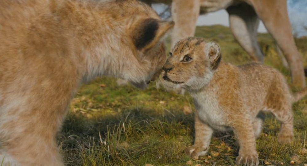 cuplikan Mufasa: The Lion King (dok. Disney/Mufasa: The Lion King)