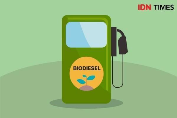 Empat Tantangan Investasi Energi Hijau Versi Kadin Indonesia