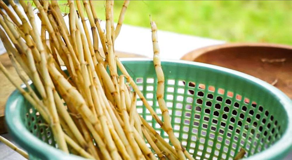 4 Resep Minuman Akar Alang-Alang, Jaga Daya Tahan Tubuh Selama Puasa