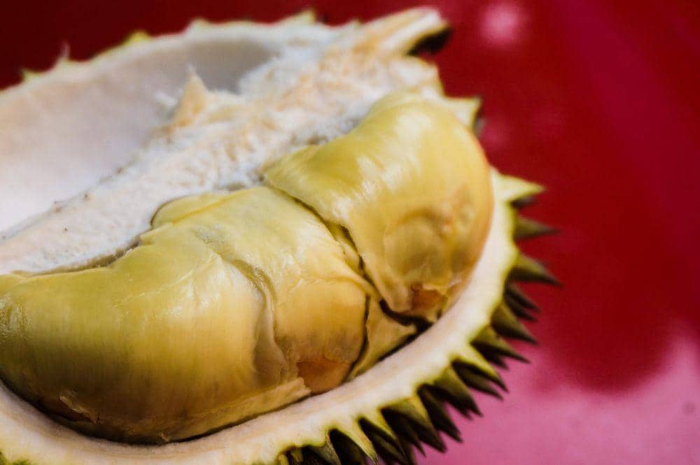 ilustrasi durian (pixabay.com/Najib Zamri )