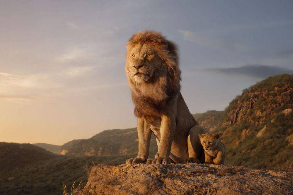 Scene di film The Lion King.(dok.Disney/The Lion King)