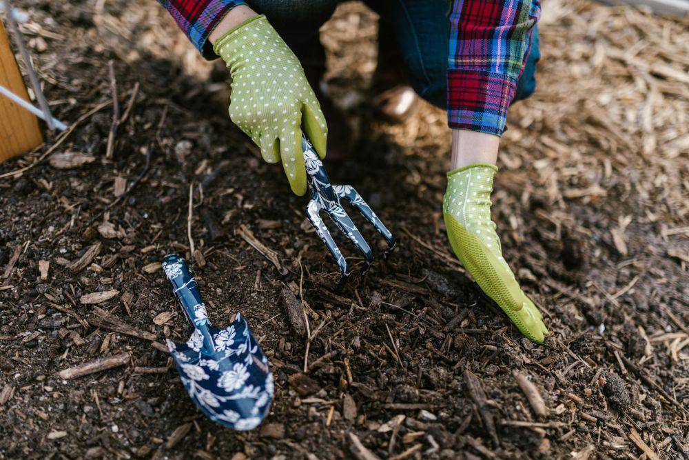ilustrasi berkebun (pexels.com/rdne)