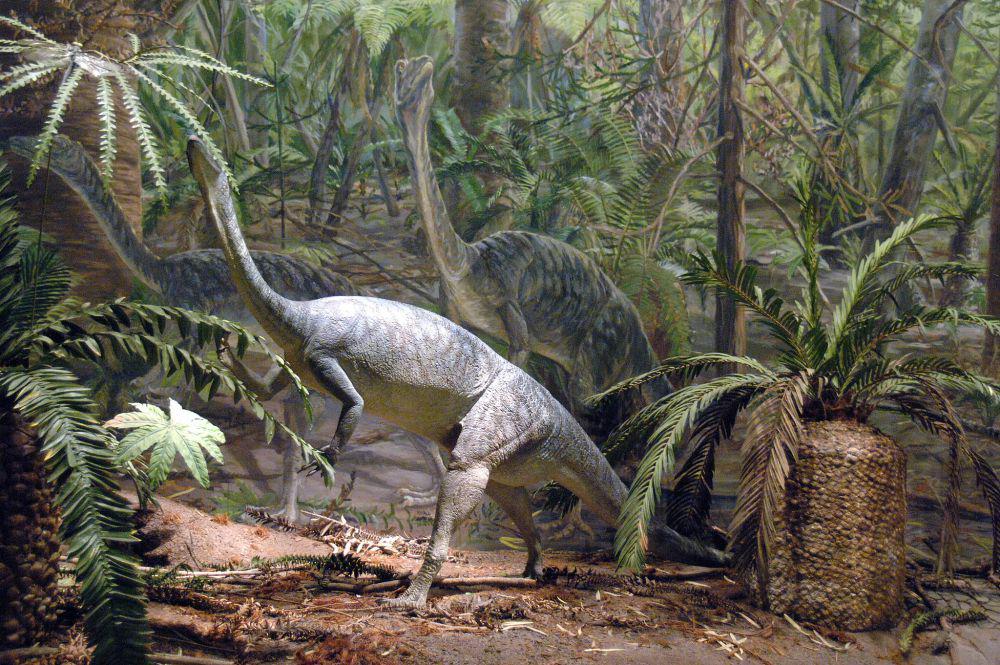 Fakta Menarik Sikas, Camilan Favorit Dinosaurus di Zaman Mesozoikum