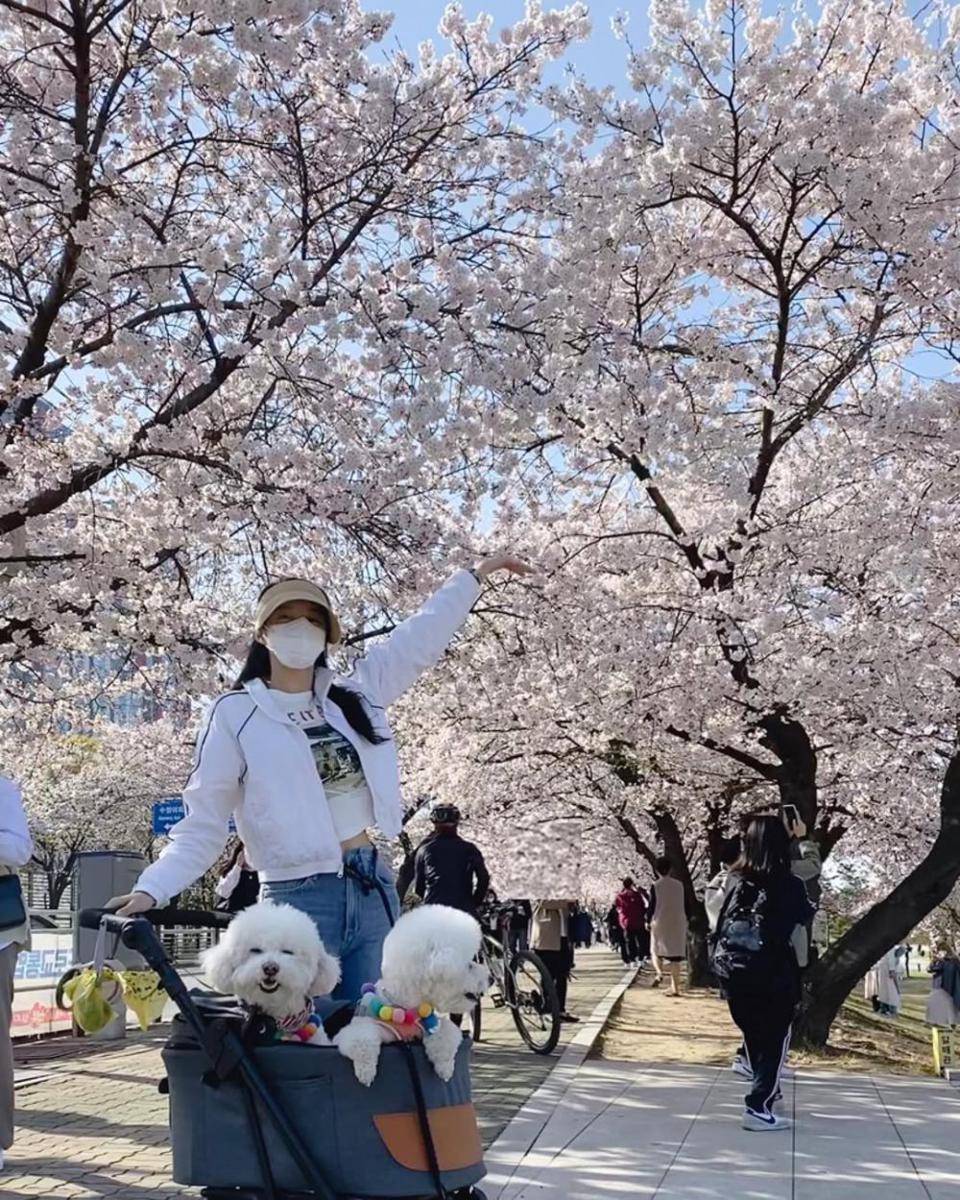 casual outfit ala Chung You Jin Single’s Inferno (instagram.com/youjini1225)