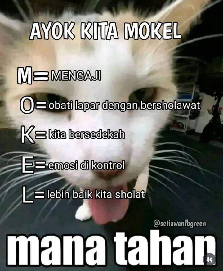 meme mokel (instagram.com/setiawanfbgreen)