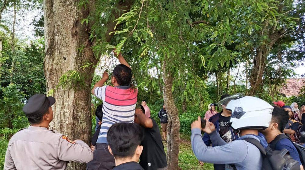 Penemuan mayat di Pringsewu Lampung. (IDN Times/istimewa)