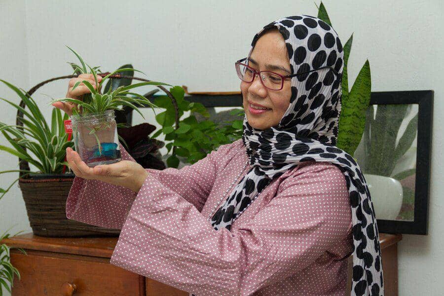 Tanaman hias bikin adem (freepik.com/EyeEm)