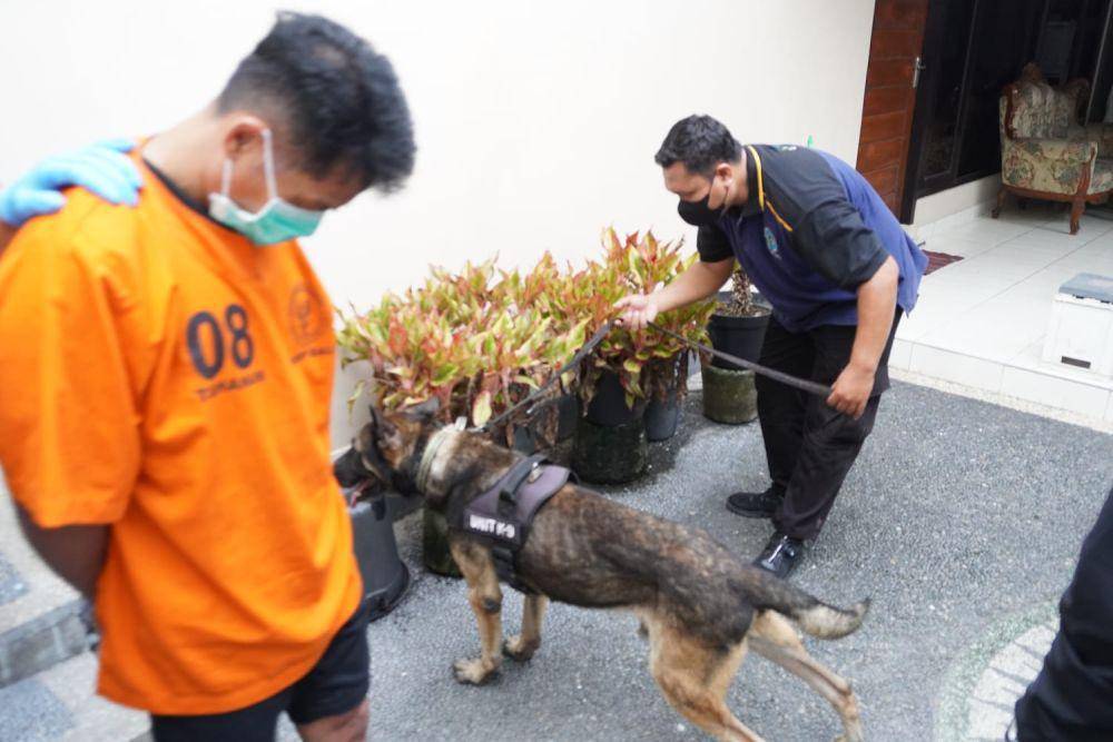 BNNP Bali Berhasil Menggagalkan Peredaran 1,5 Kilogram Sabu
