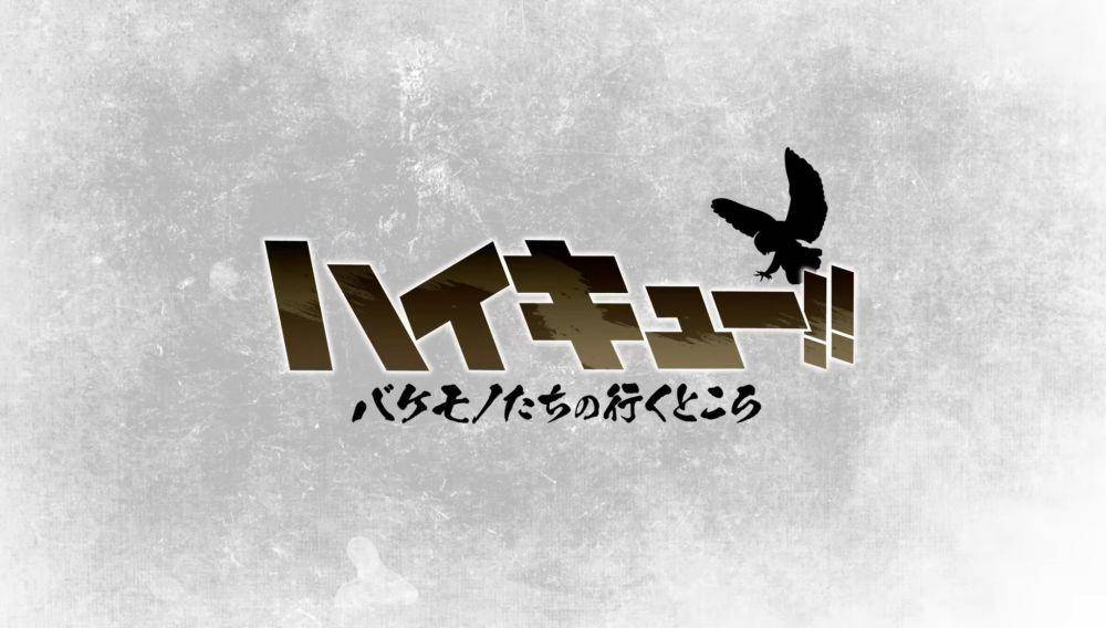 Haikyu!!: The Place Where Monsters Go (dok. Production I.G)