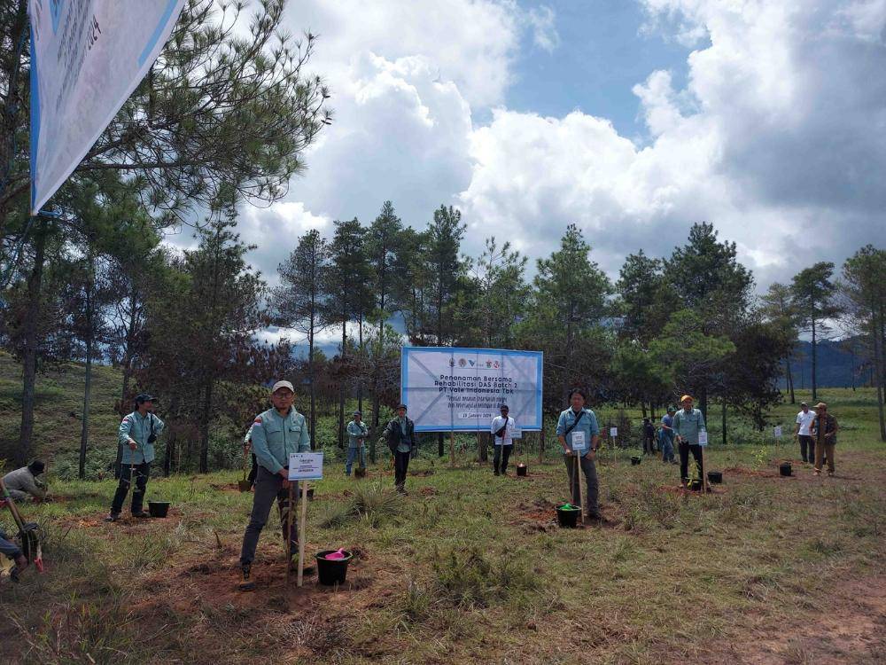 Rehabilitasi DAS PT Vale Indonesia demi keberlanjutan lingkungan (vale.com)