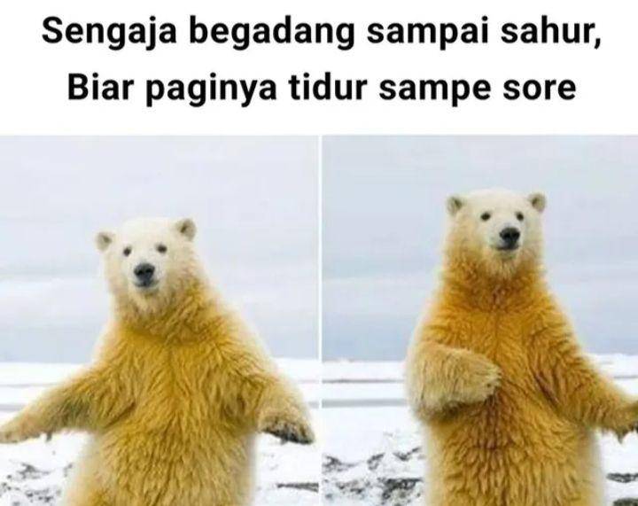 meme tidur saat puasa (instagram.com/javanese.shitposting.meme)
