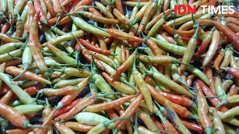 Rawit Setan Tembus Rp120 Ribu, Warga Semarang Pilih Ngirit Masak