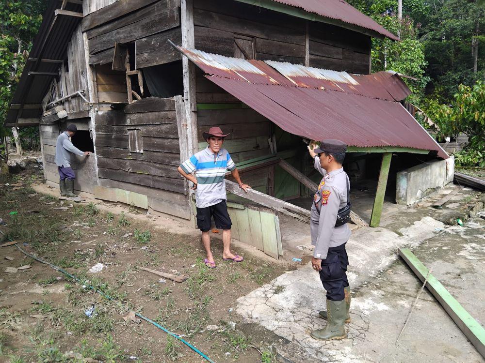 Kawanan Gajah Liar Rusak Puluhan Gubuk Warga Semaka Tanggamus