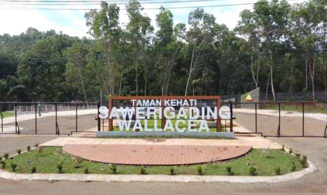 Taman Kehati Sawerigading Wallacea bukti nyata Vale dalam menjaga biodiversitas (youtube.com/PT Vale Indonesia Tbk)