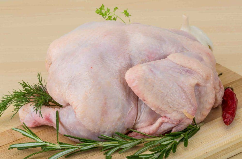 Ilustrasi ayam gelonggongan (vecteezy.com/Andrey Starostin)