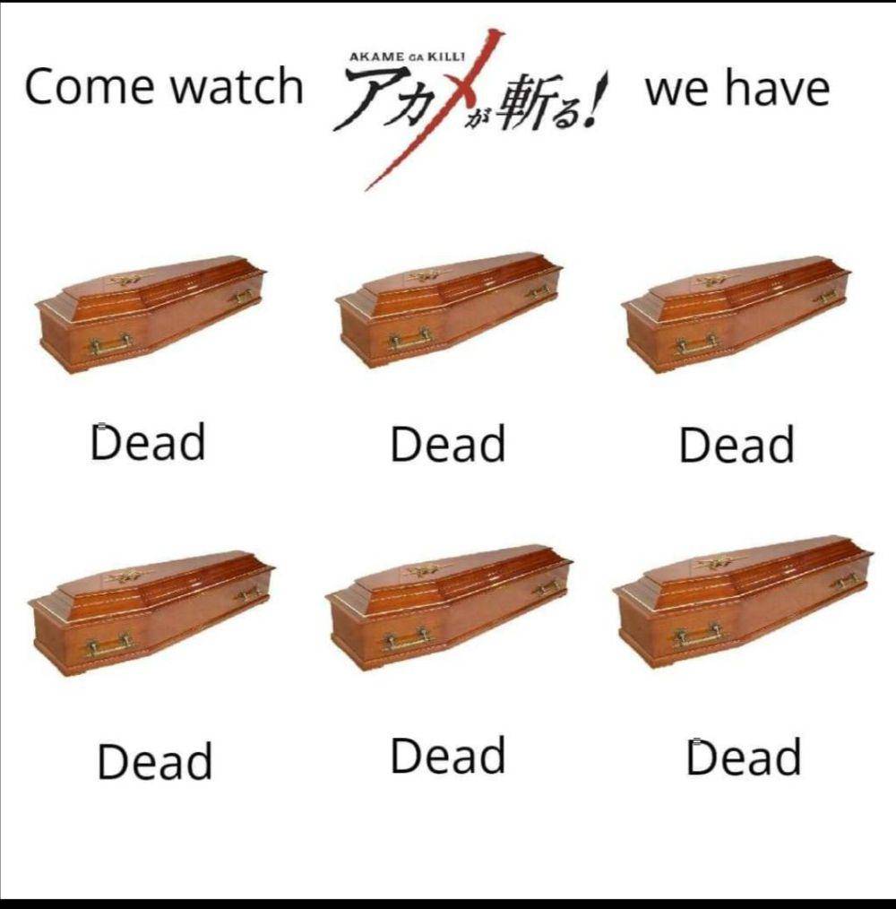meme Akame ga Kill! (reddit.com/user/TheSmellySpartan)