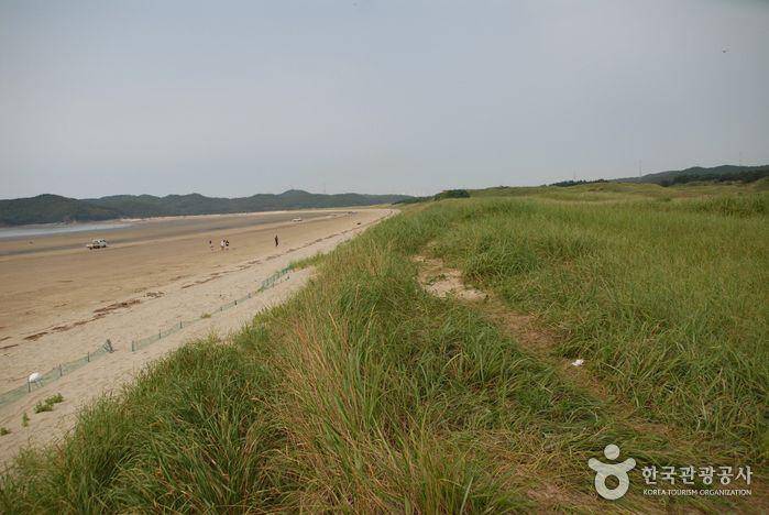 Potret Sinduri Beach di Taean, Korea Selatan (english.visitkorea.or.kr)