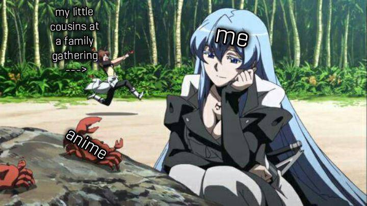 meme Akame ga Kill! (reddit.com/user/ElVV1N)