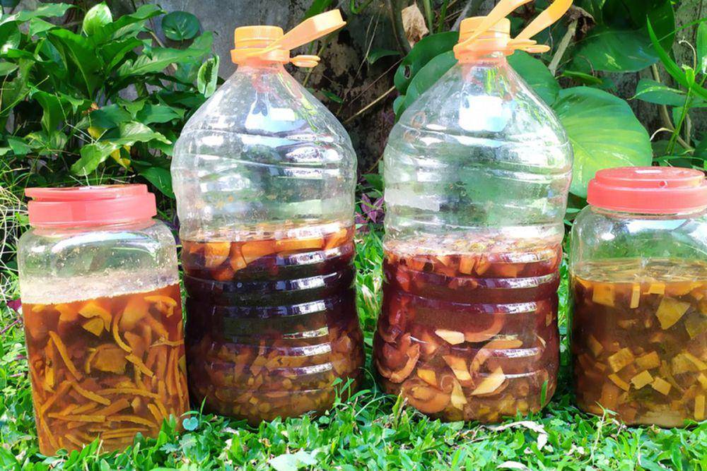 Cairan Eco-Enzyme dalam botol (shutterstock.com/ichiyuki