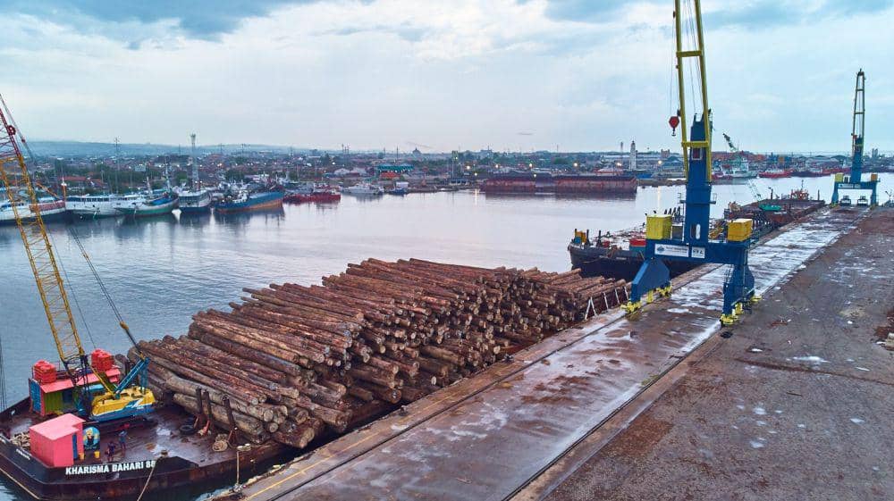 Tumpukan kayu gelondongan di terminal logistik Pelabuhan Tanjung Emas Semarang. (IDN Times/Subholding PT Pelindo Multi Terminal)