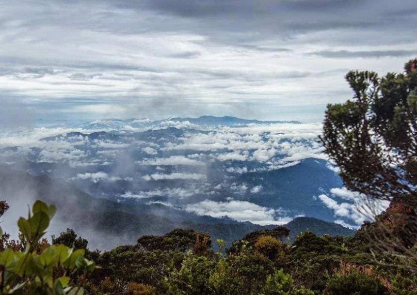 Puncak Bukit Raya (commons.wikimedia.org/Pariwisata Kalimantan Tengah)