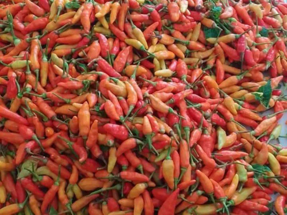 Harga Bahan Pokok Belum Stabil, Cabai dan Bawang di Surabaya Mahal