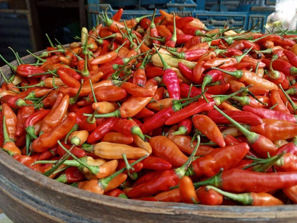 Dekati Lebaran, Harga Cabai Sentuh Rp100 Ribu Per Kg