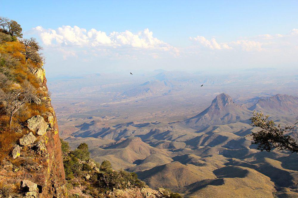 5 Fakta Unik Gurun Chihuahuan, Gurun Paling Beragam di Dunia